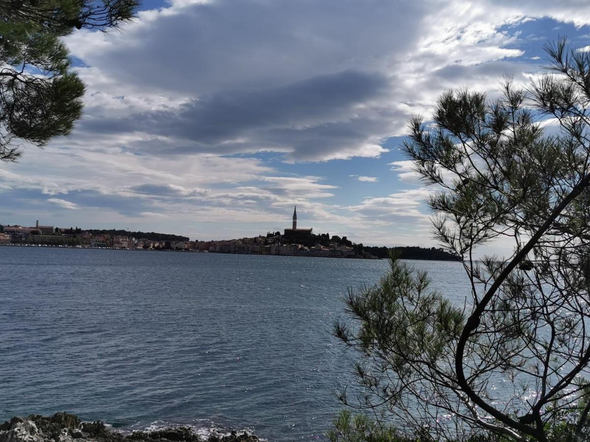 Apartments Sandra Rovinj Extérieur photo